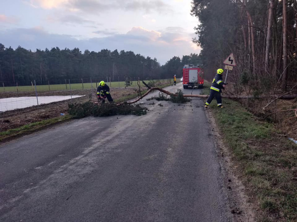Pracowite popołudnie druhów z Łuszczanowa