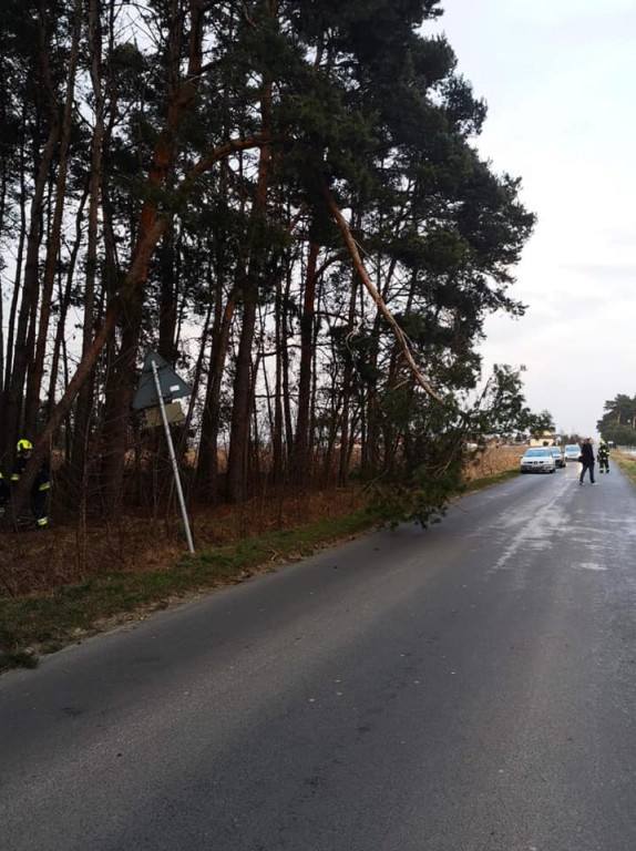 Pracowite popołudnie druhów z Łuszczanowa