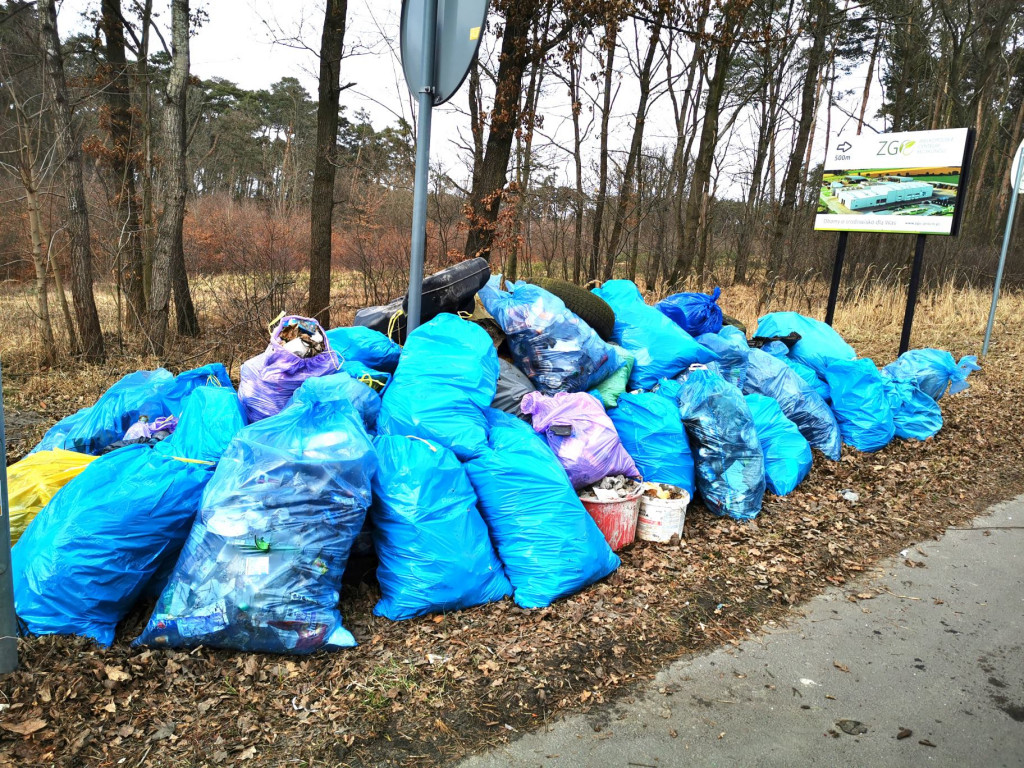 Wiosenne porządki z RoweLOVE