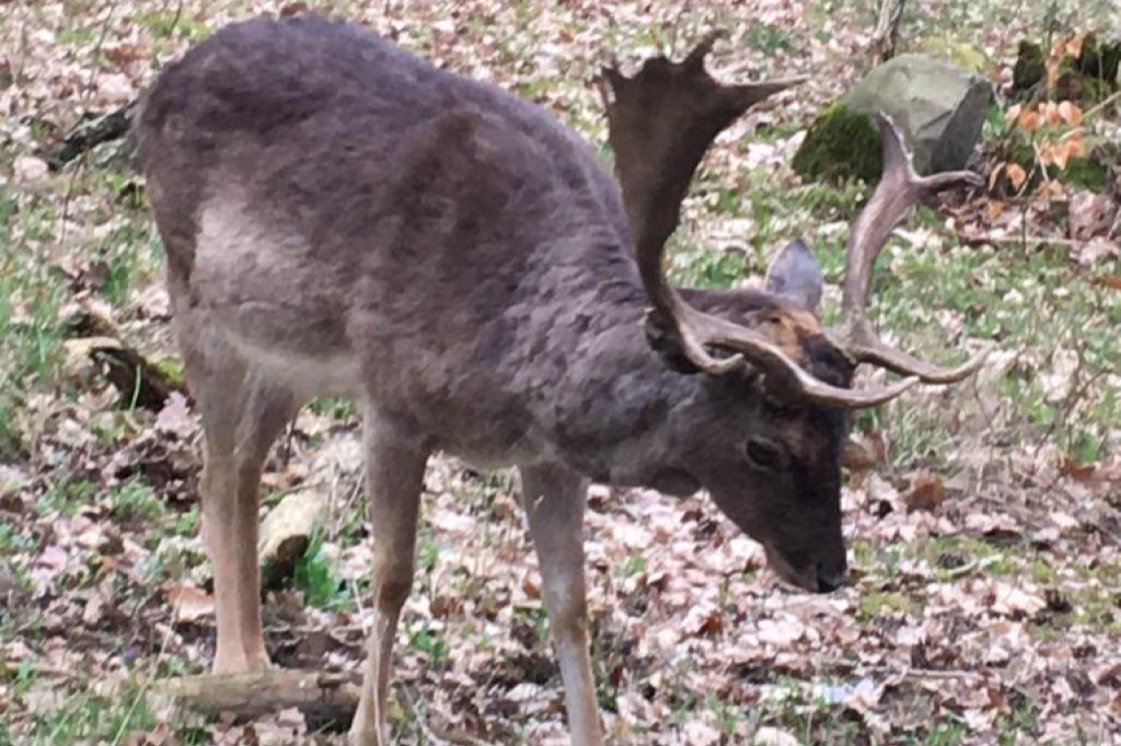 Zaskakujące spotkanie człowieka z naturą