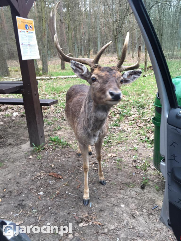 Zaskakujące spotkanie człowieka z naturą