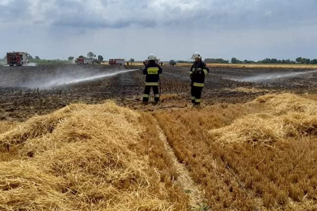 Pożar zboża i ścierniska w Cerekwicy Nowej
