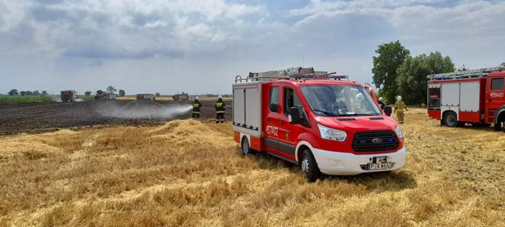 Pożar zboża i ścierniska w Cerekwicy Nowej