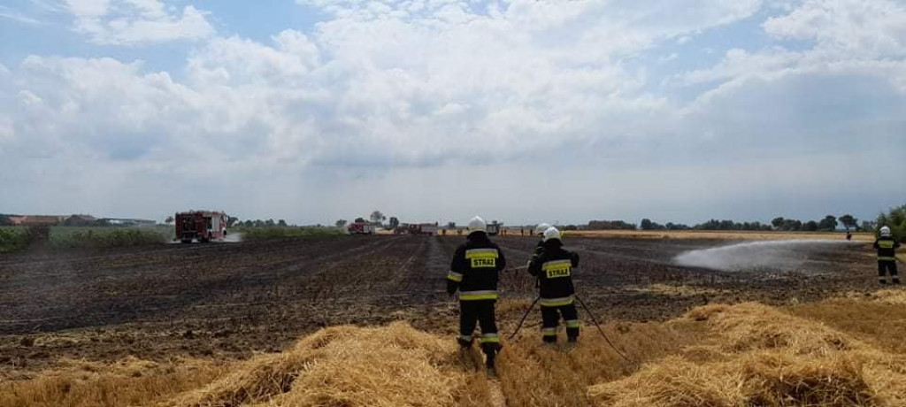 Pożar zboża i ścierniska w Cerekwicy Nowej