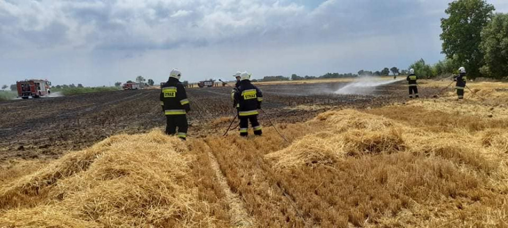 Pożar zboża i ścierniska w Cerekwicy Nowej