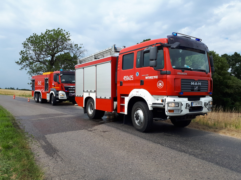 Pożar i niebezpieczne owady w Witaszycach