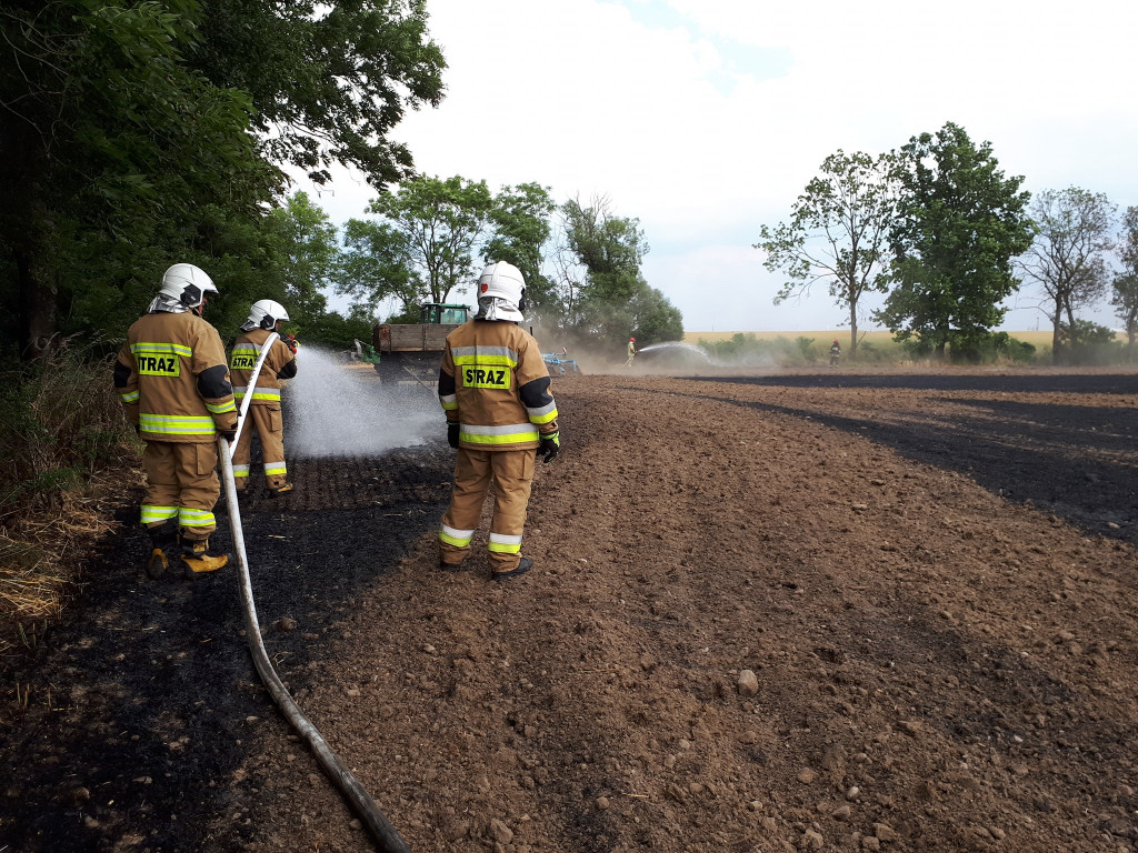Pożar i niebezpieczne owady w Witaszycach