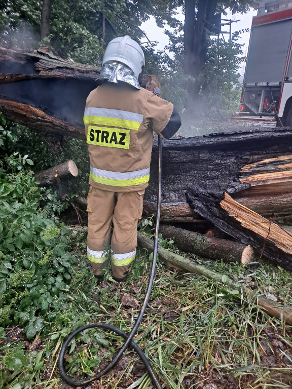 Skutki ulewnego deszczu i burzy w gminie Jarocin