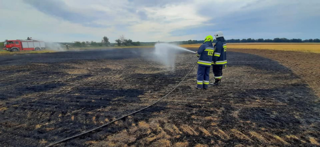 Pożar ścierniska w Potarzycy