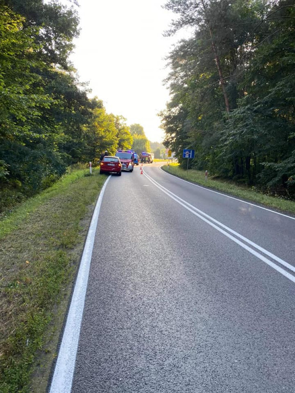 Wypadek między Bachorzewem a Tarcami