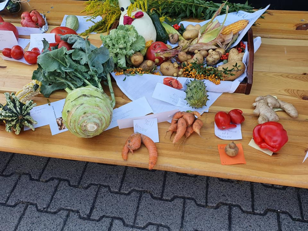 II Powiatowy Festiwal Smaków i Rękodzieła