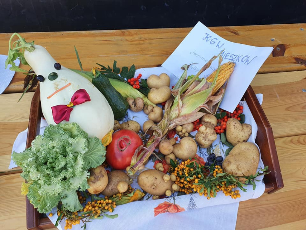 II Powiatowy Festiwal Smaków i Rękodzieła