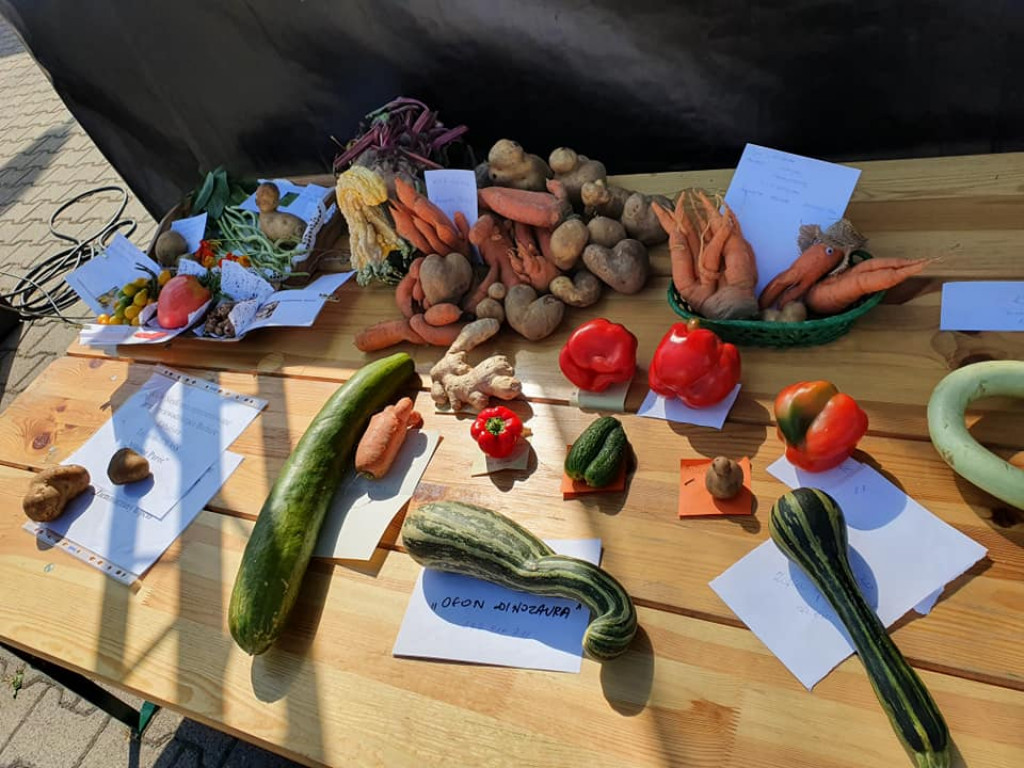 II Powiatowy Festiwal Smaków i Rękodzieła