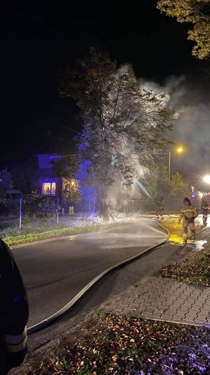 Tarce. Drzewo w płomieniach