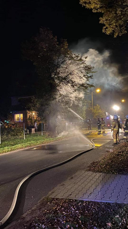 Tarce. Drzewo w płomieniach