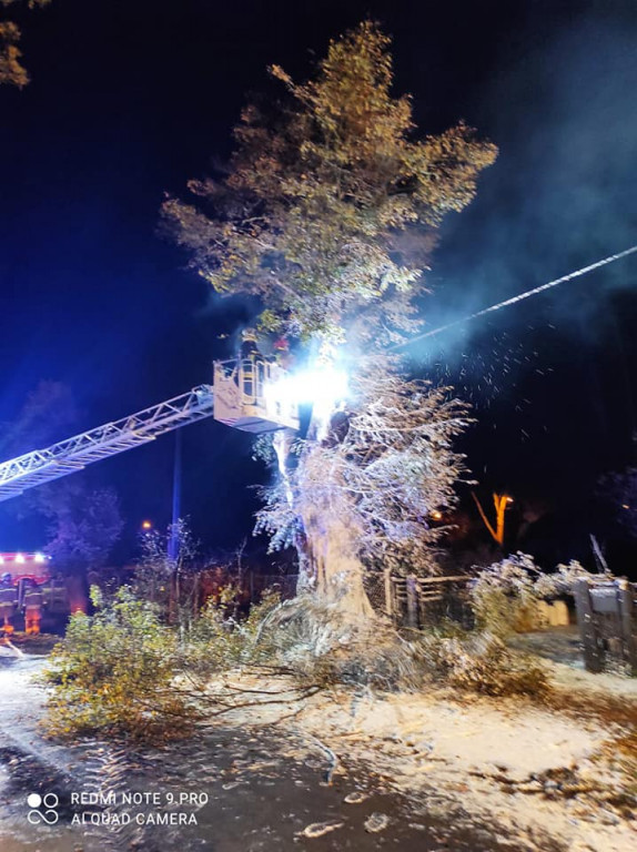 Tarce. Drzewo w płomieniach