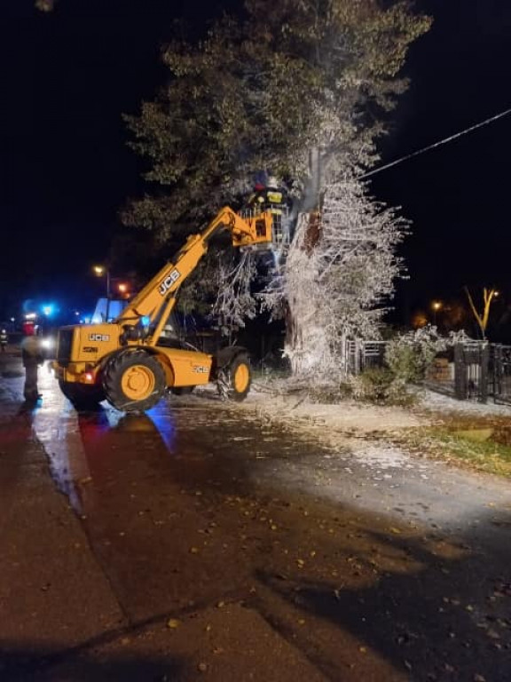 Tarce. Drzewo w płomieniach