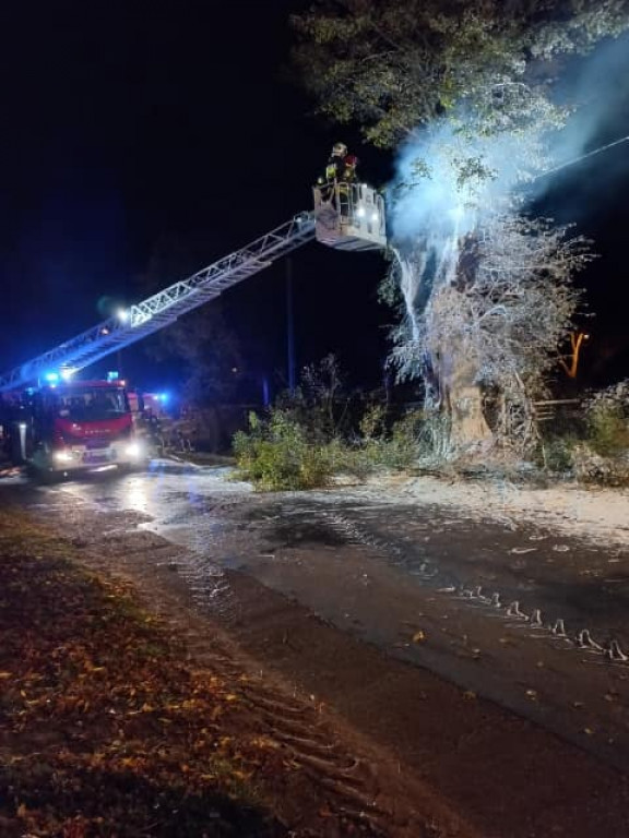 Tarce. Drzewo w płomieniach