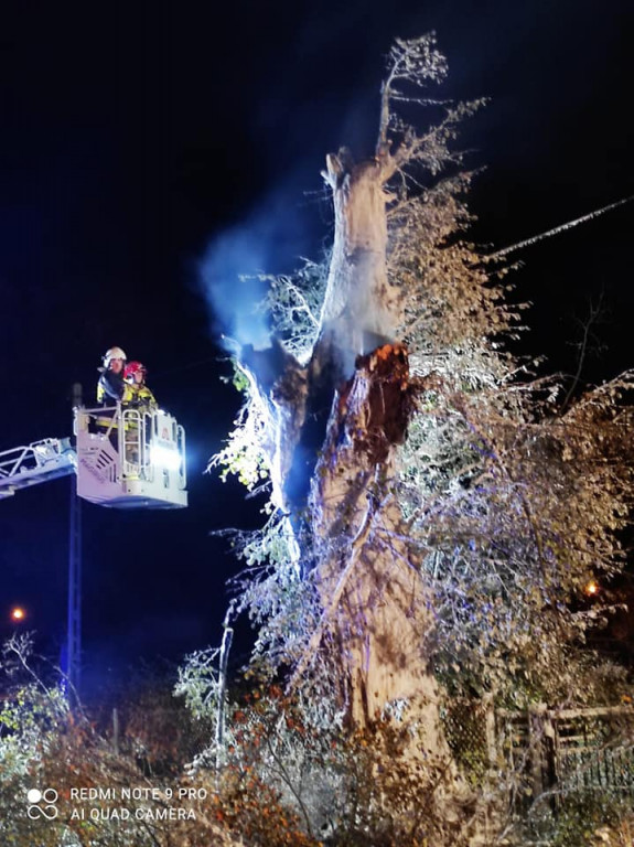 Tarce. Drzewo w płomieniach