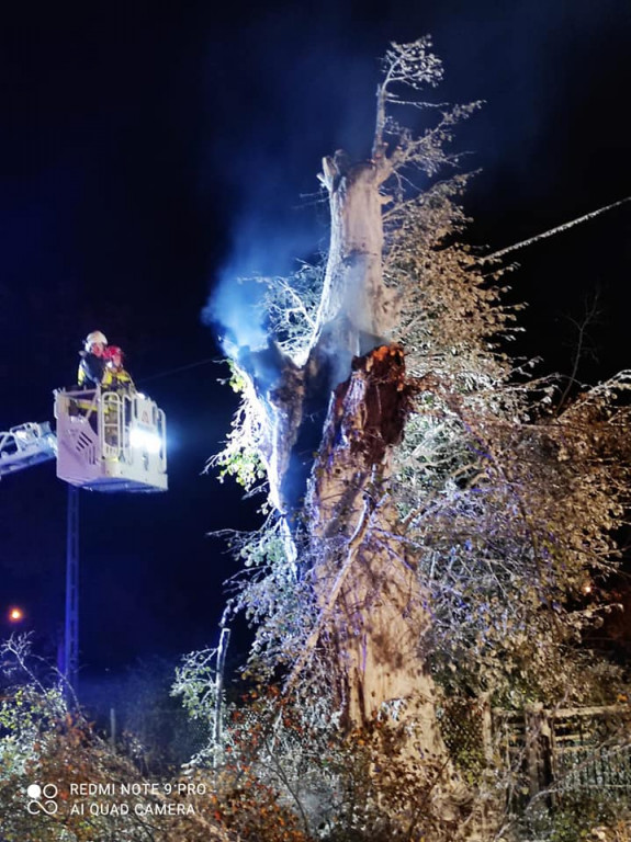 Tarce. Drzewo w płomieniach