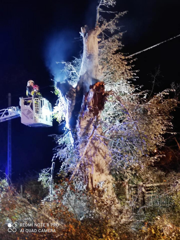 Tarce. Drzewo w płomieniach