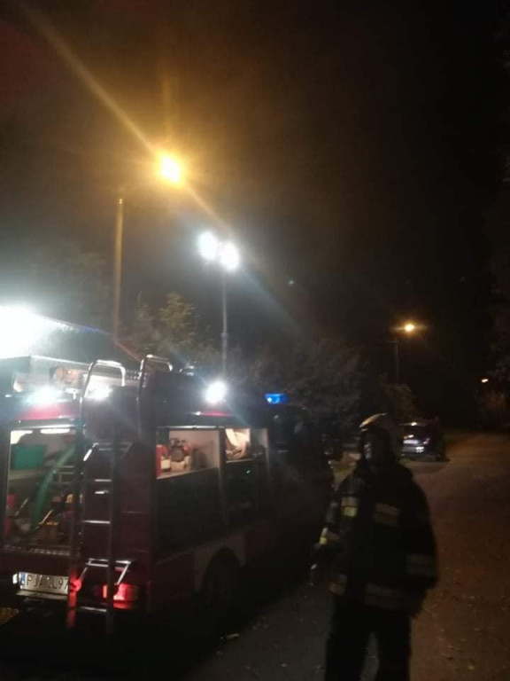 Tarce. Drzewo w płomieniach