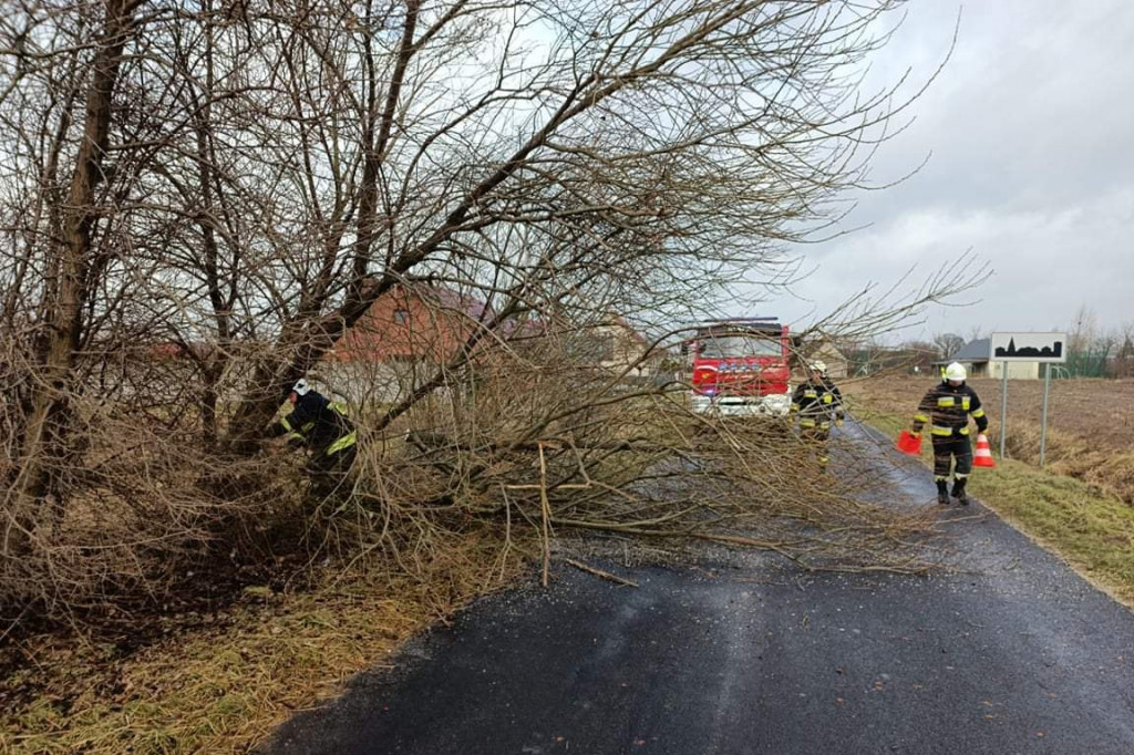 Skutki wichury w powiecie jarocińskim