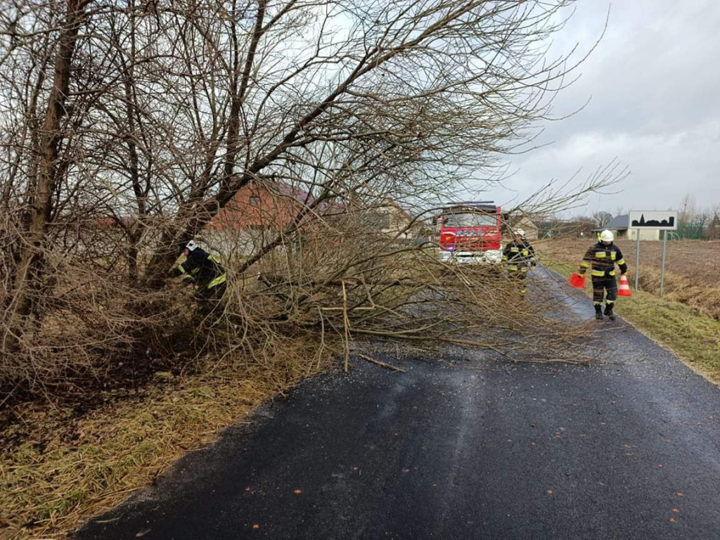 Skutki wichury w powiecie jarocińskim