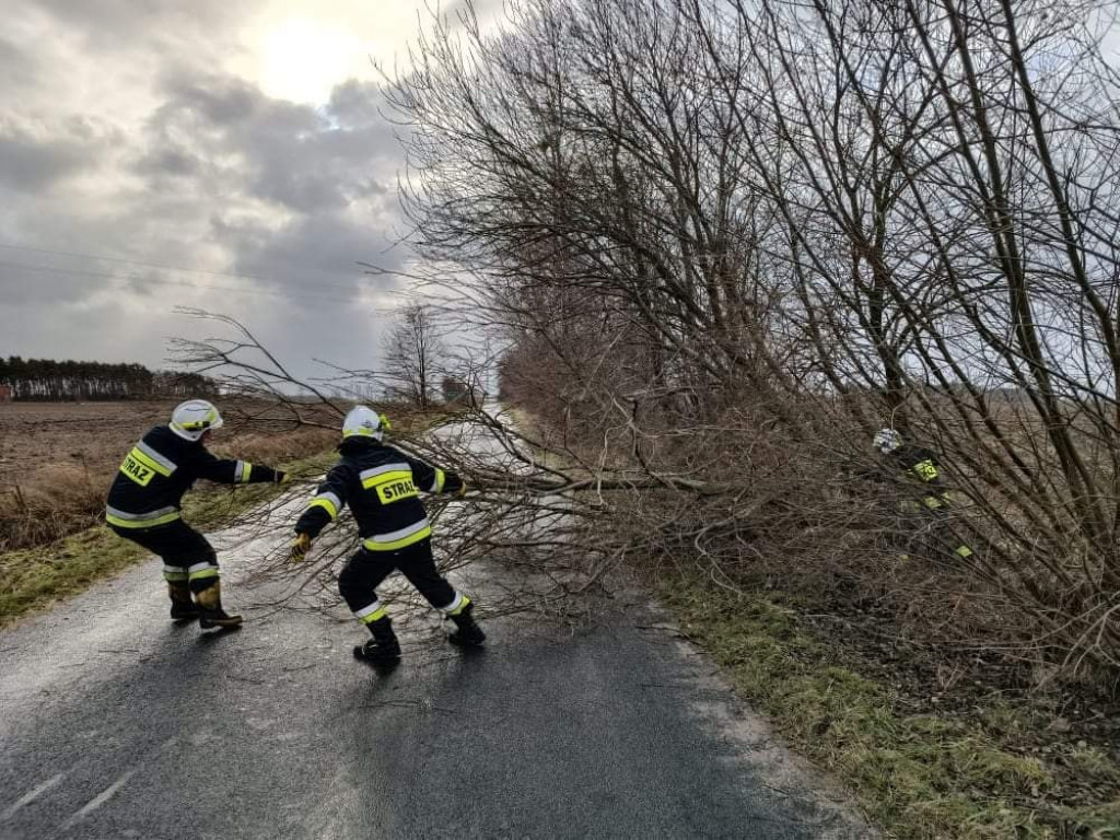 Skutki wichury w powiecie jarocińskim