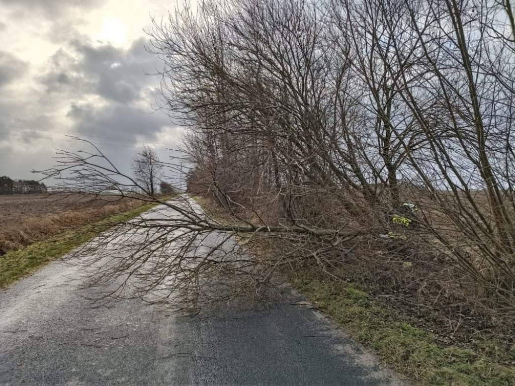 Skutki wichury w powiecie jarocińskim