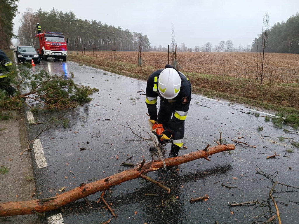 Skutki wichury w powiecie jarocińskim