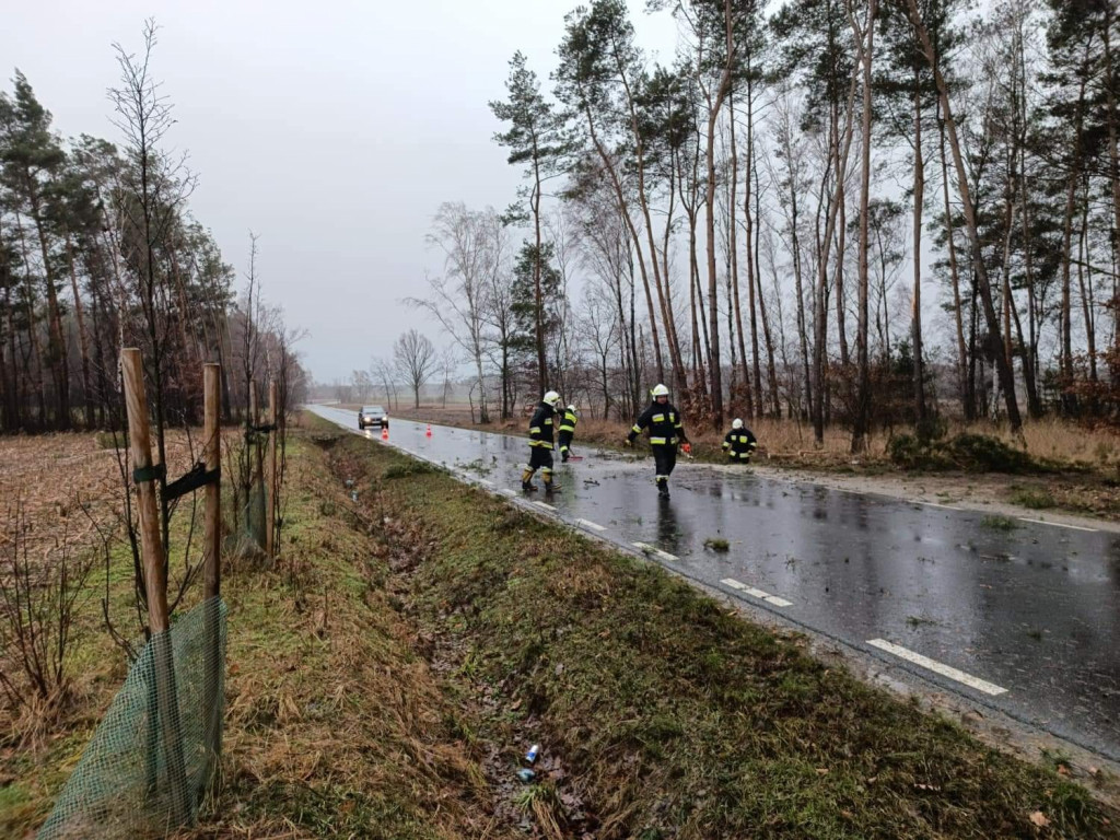 Skutki wichury w powiecie jarocińskim