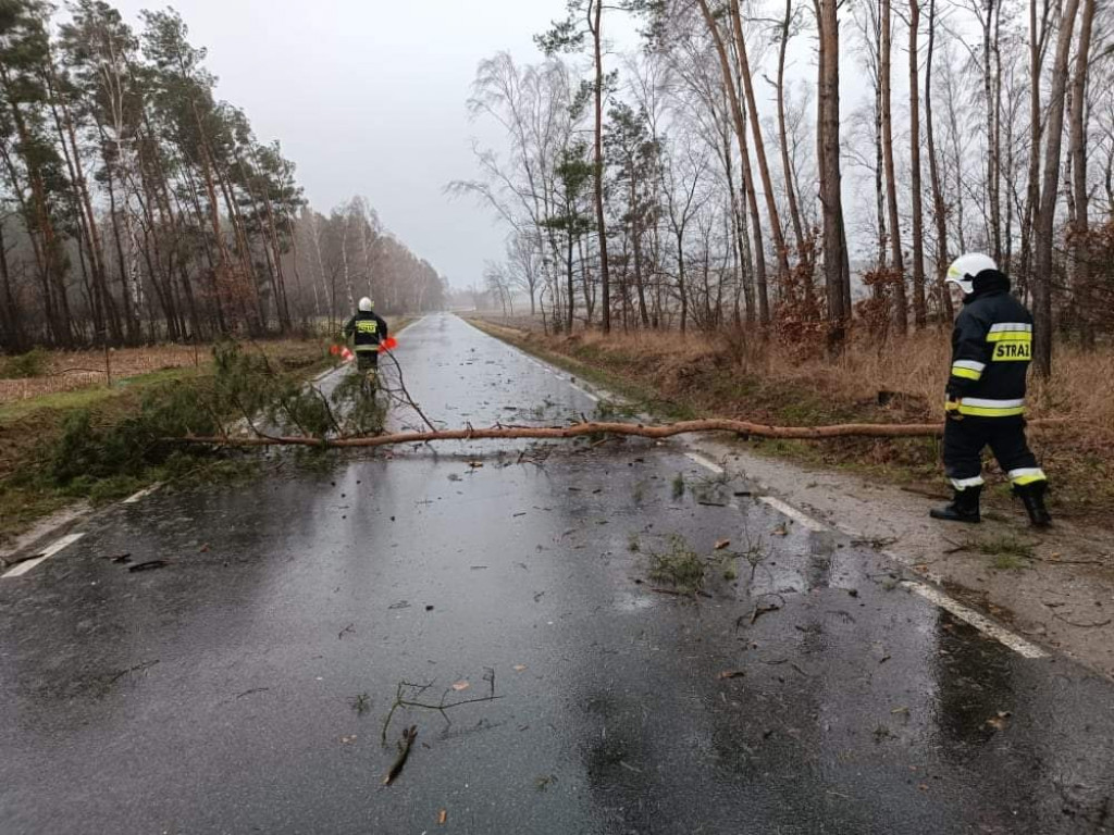 Skutki wichury w powiecie jarocińskim