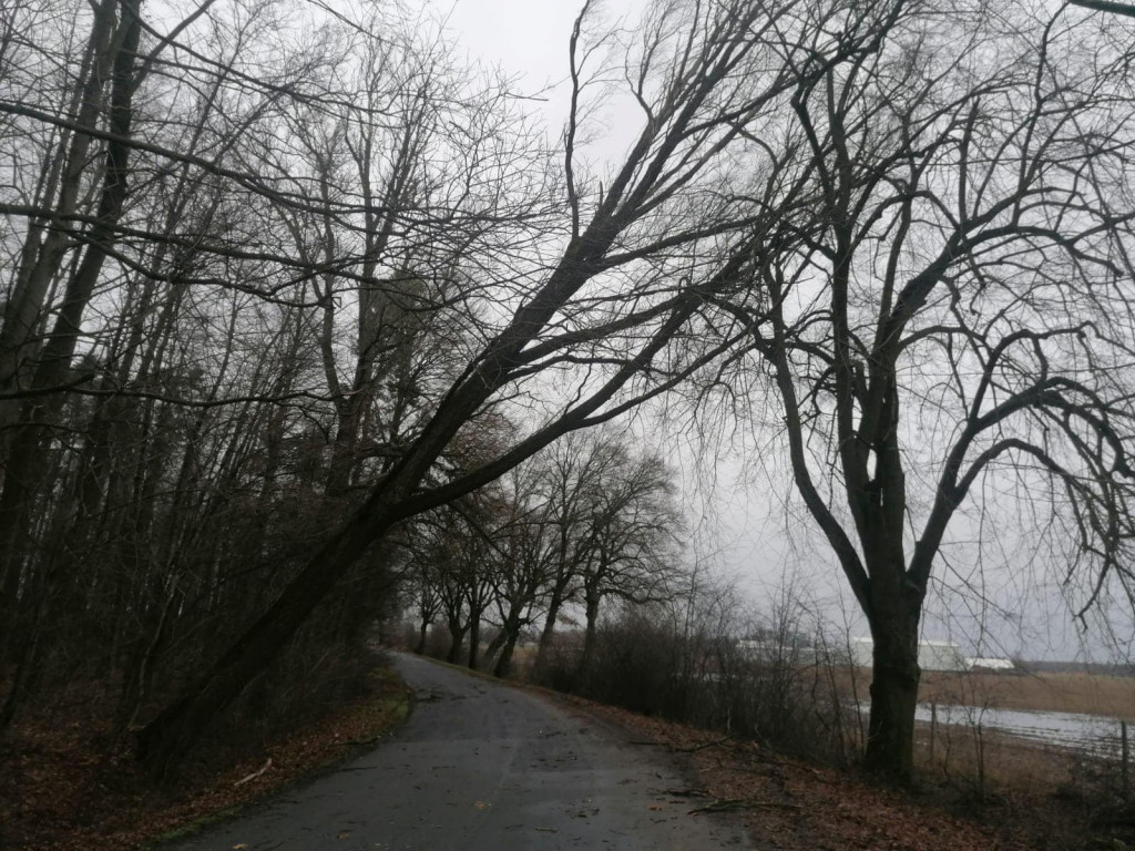 Skutki wichury w powiecie jarocińskim