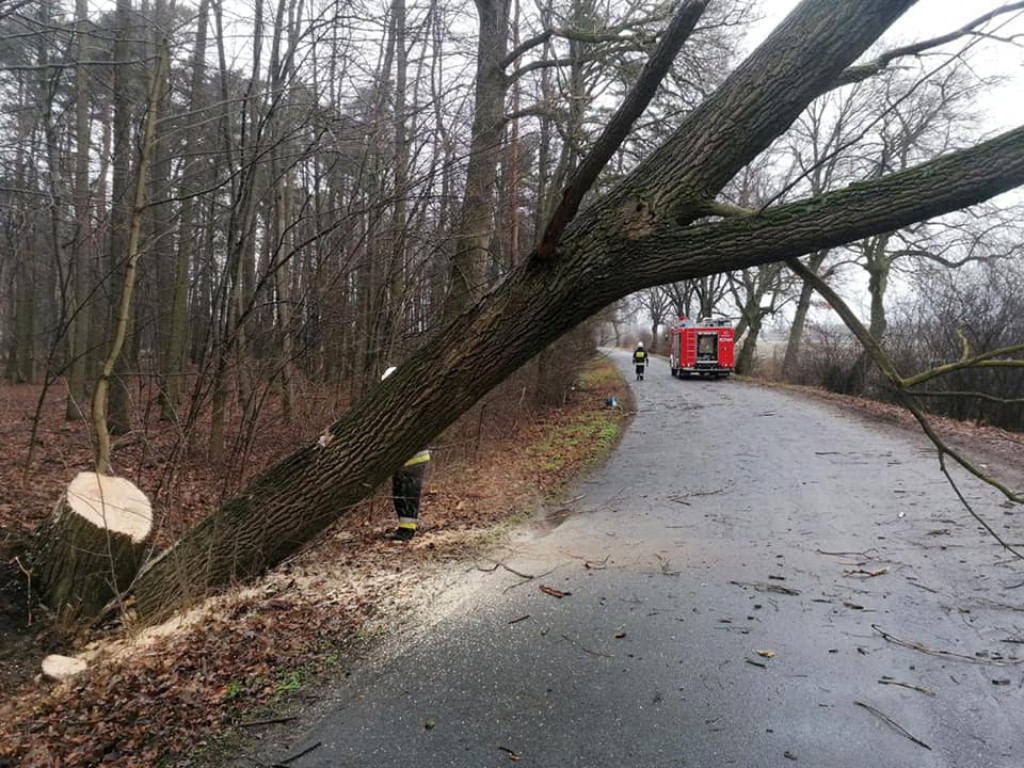 Skutki wichury w powiecie jarocińskim