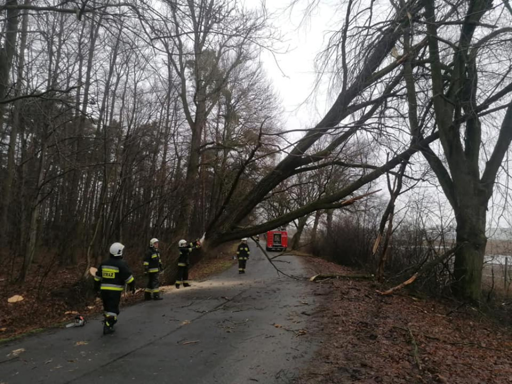 Skutki wichury w powiecie jarocińskim