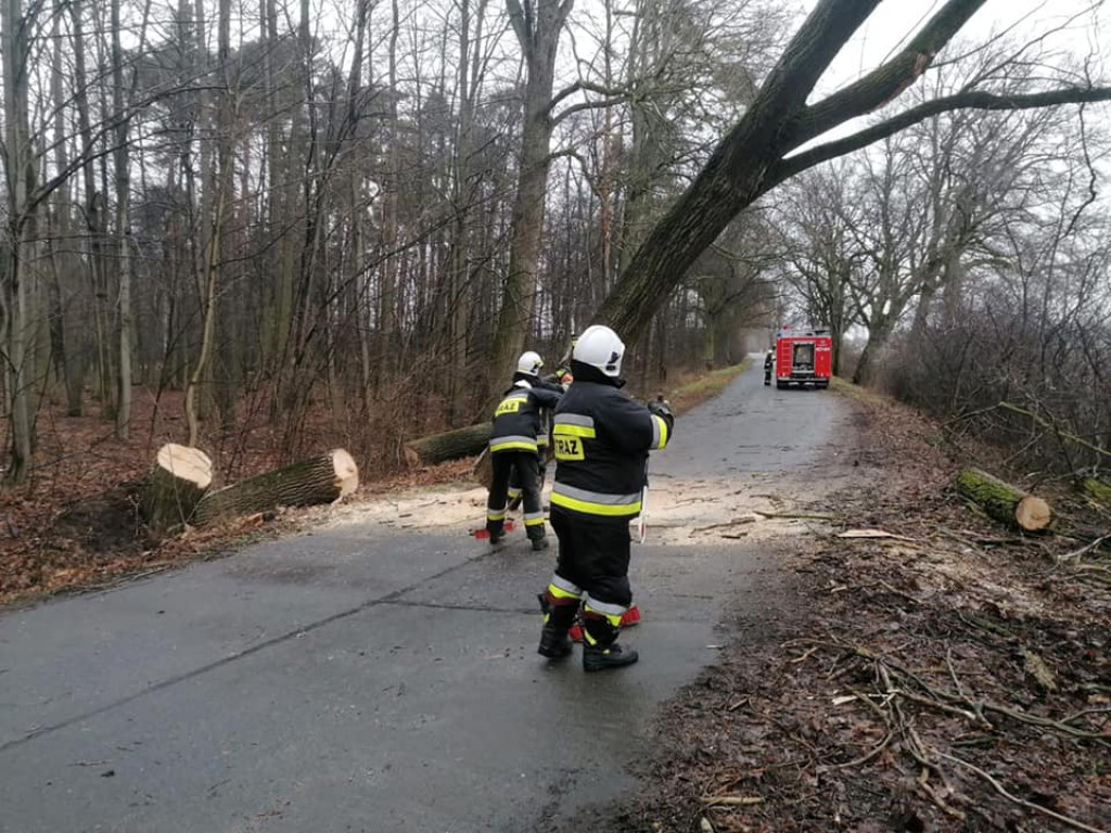 Skutki wichury w powiecie jarocińskim