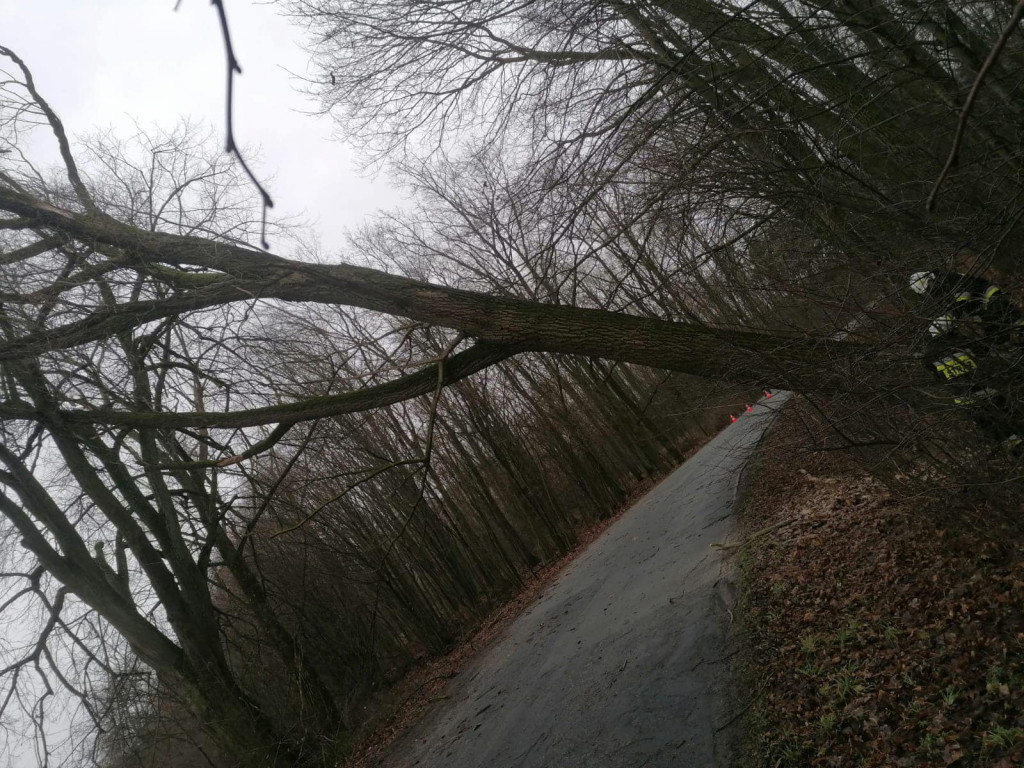 Skutki wichury w powiecie jarocińskim