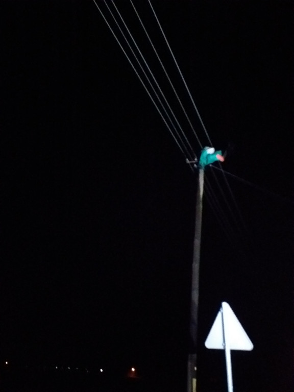 Skutki wichury w powiecie jarocińskim