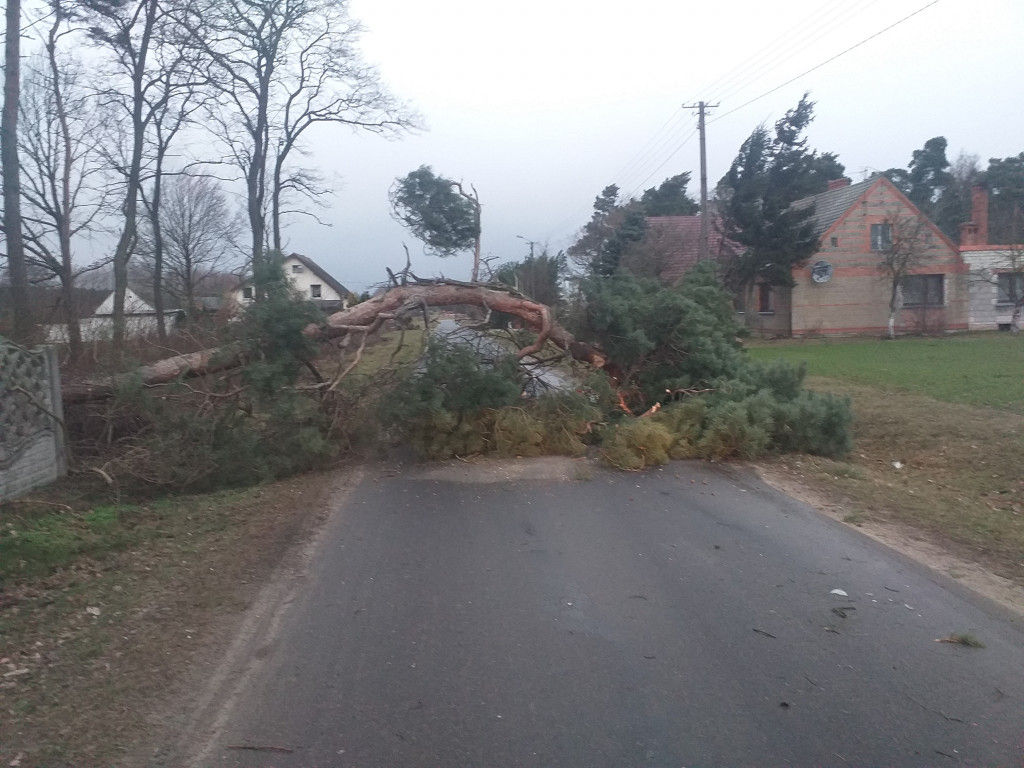 Skutki wichury w powiecie jarocińskim