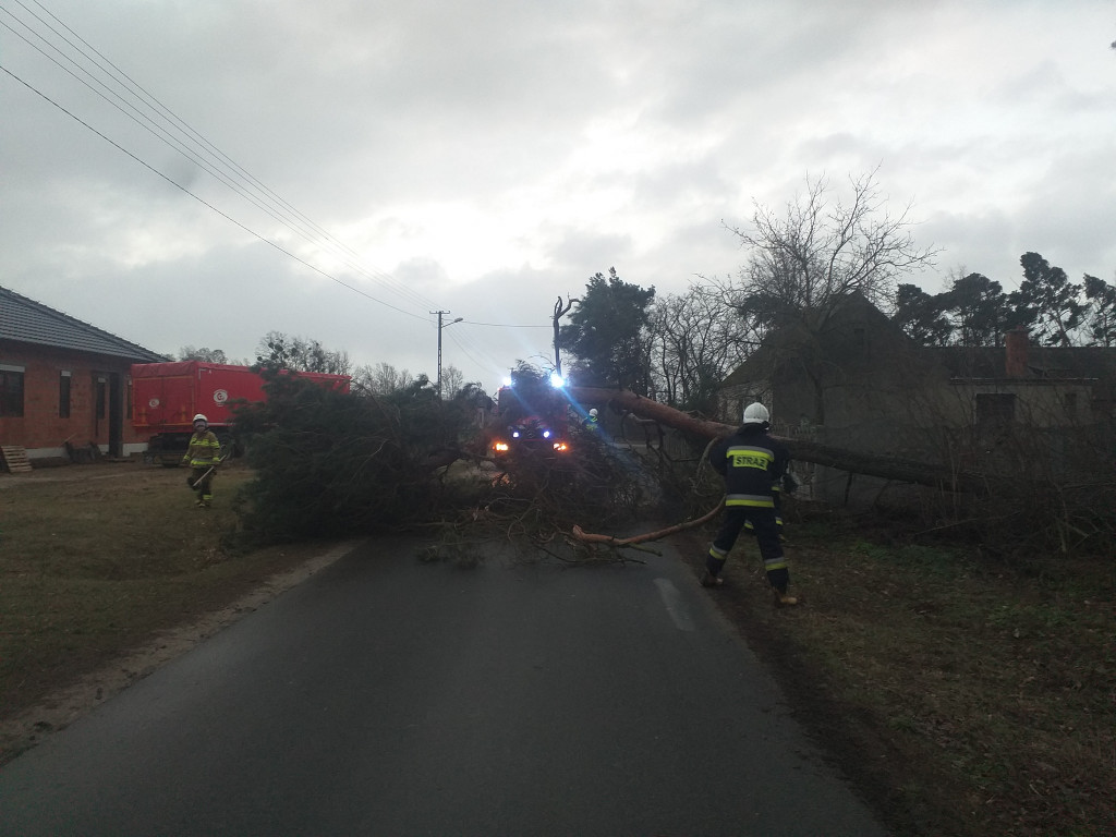 Skutki wichury w powiecie jarocińskim