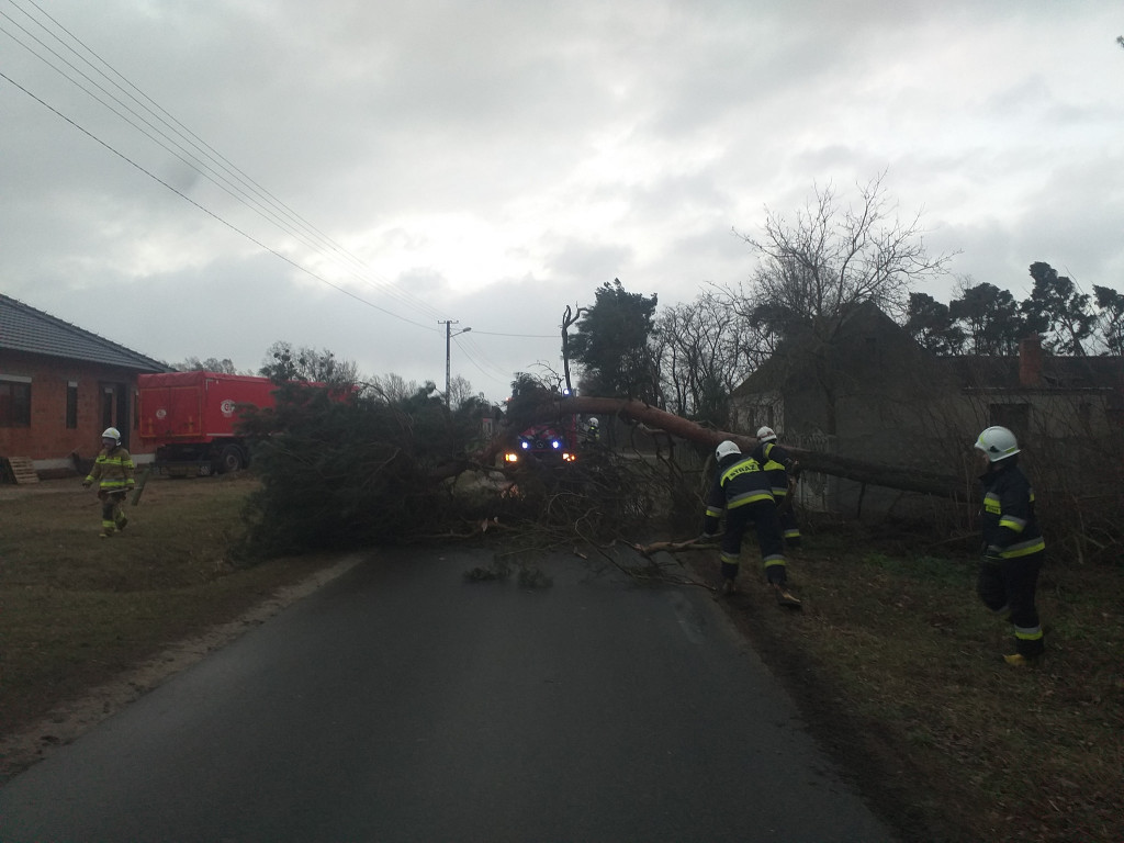 Skutki wichury w powiecie jarocińskim