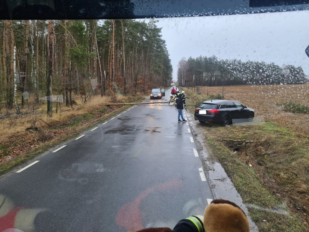 Skutki wichury w powiecie jarocińskim