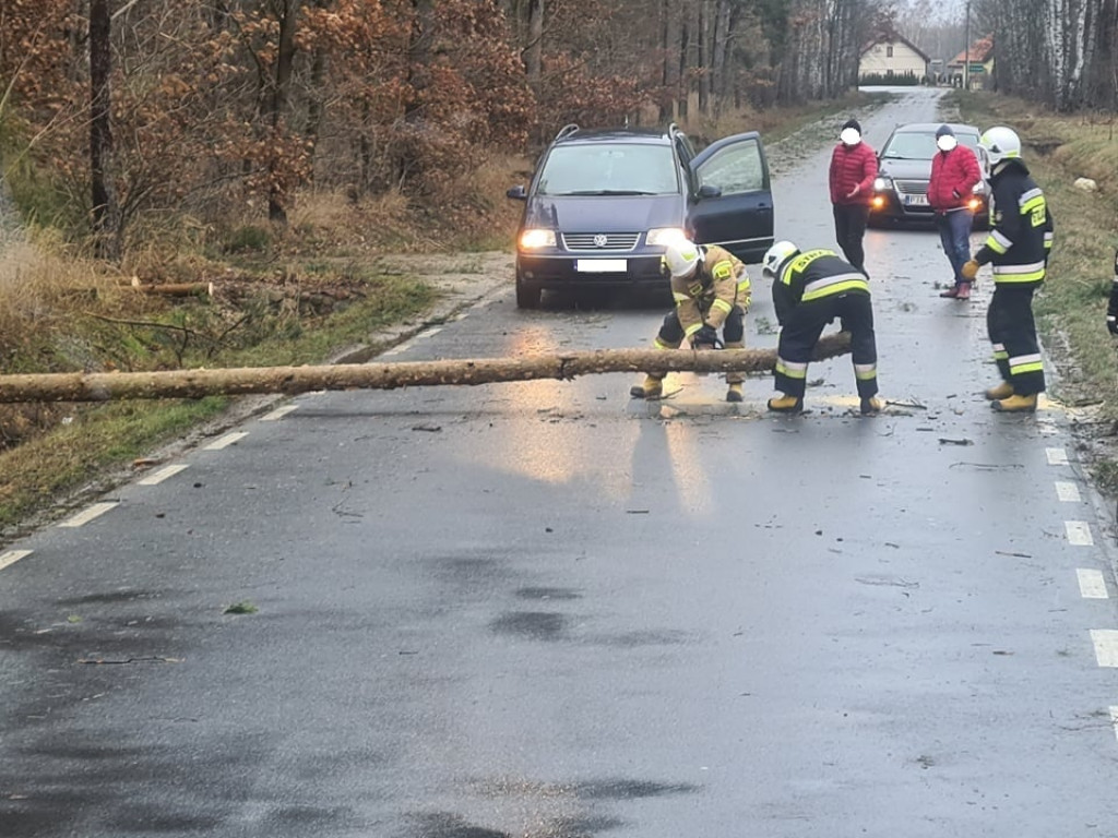 Skutki wichury w powiecie jarocińskim