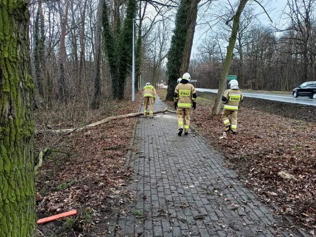 Skutki wichury w powiecie jarocińskim