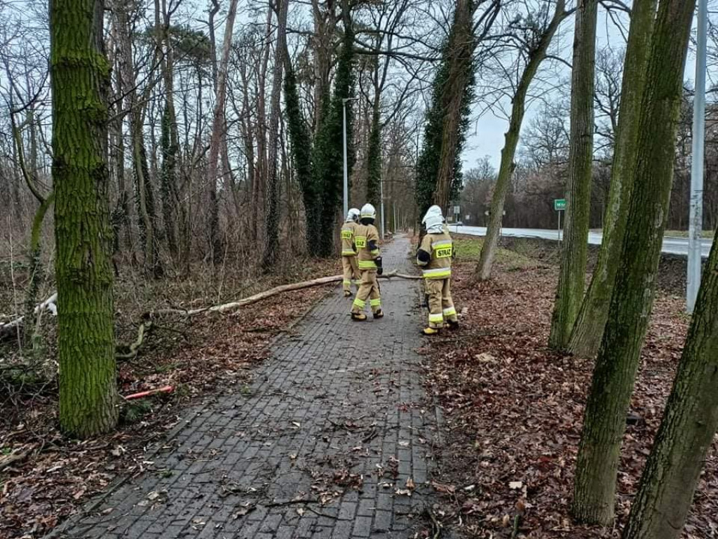 Skutki wichury w powiecie jarocińskim