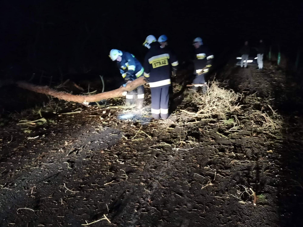 Skutki wichury w powiecie jarocińskim