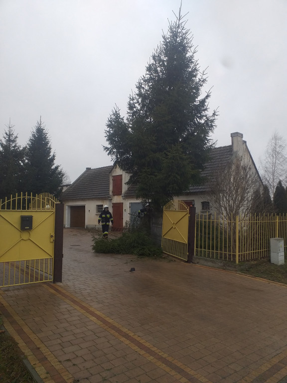 Skutki wichury w powiecie jarocińskim