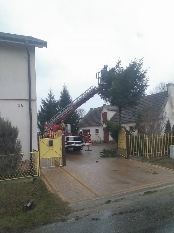 Skutki wichury w powiecie jarocińskim