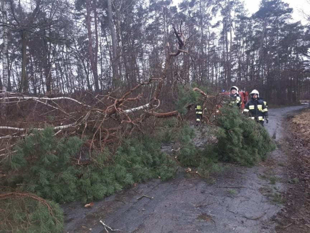Skutki wichury w powiecie jarocińskim